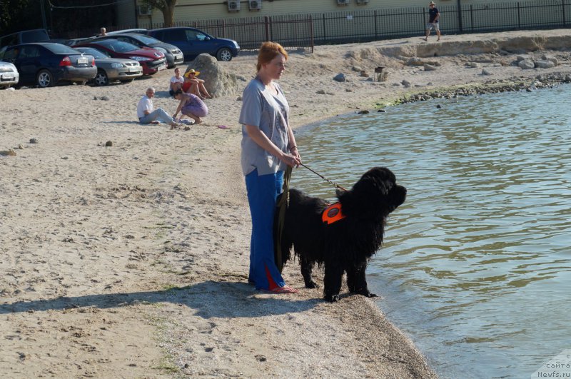 Фотография № 184214