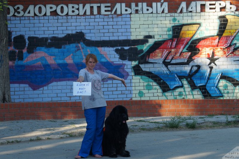 Фотография № 184218