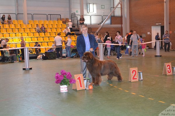 Фотография № 184229