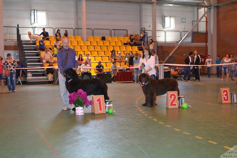 Фотография № 184233