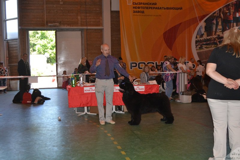 Фотография № 184234