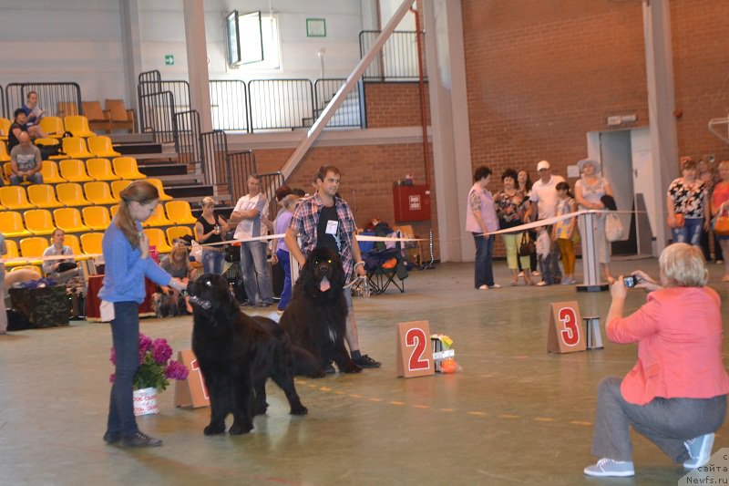 Фотография № 184235