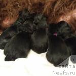 Фото: Natal'ya Smazchikova (Наталья Смазчикова)