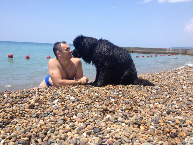 Фотография № 184271