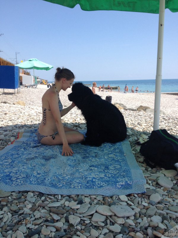 Фотография № 184273