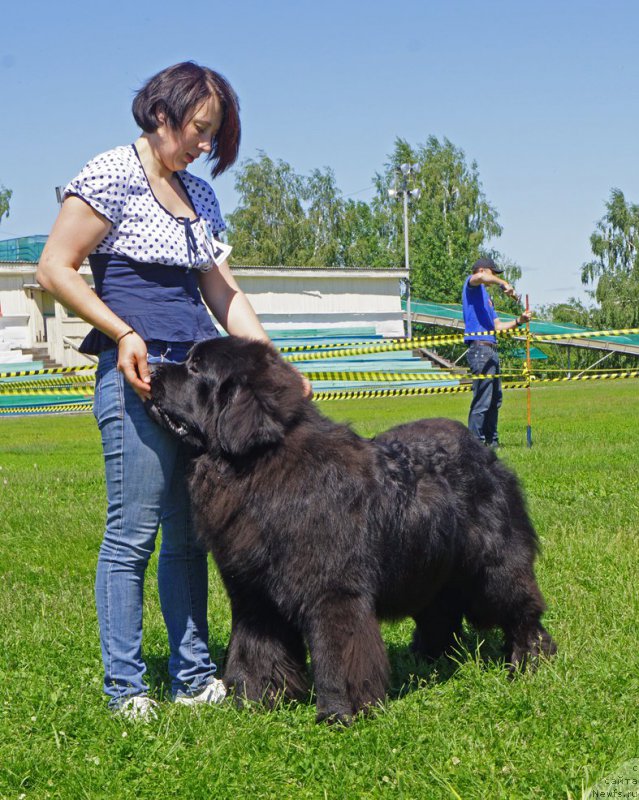 Фотография № 184287