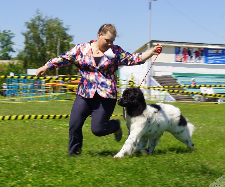 Фотография № 184289