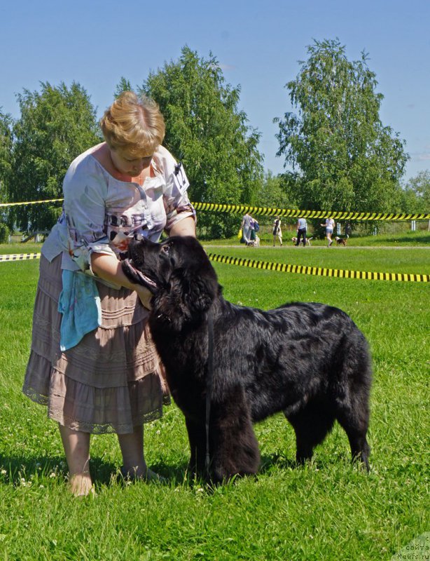 Фотография № 184291