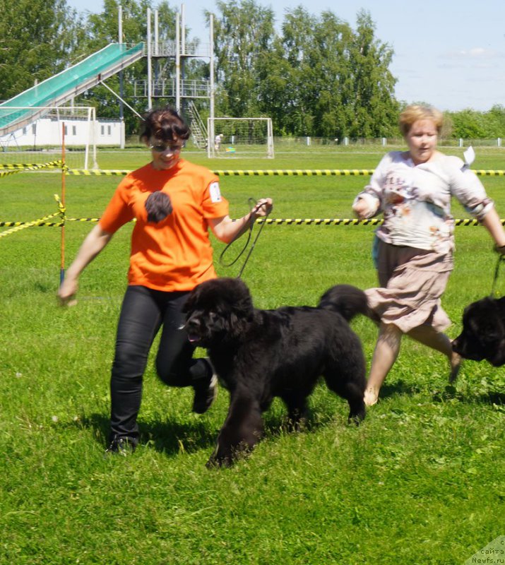 Фотография № 184293