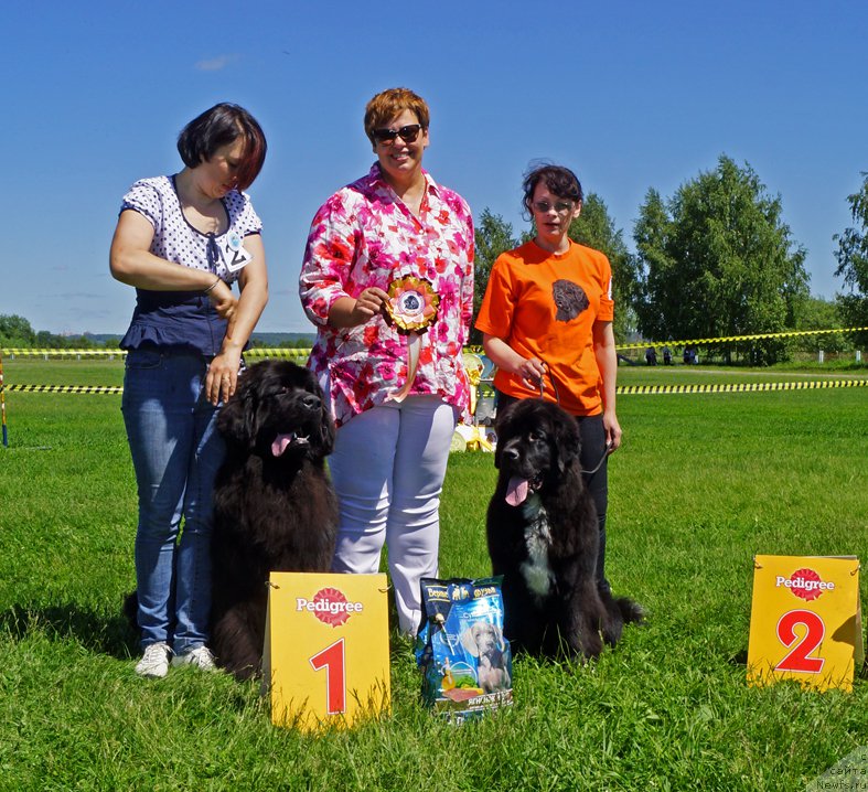 Фотография № 184297