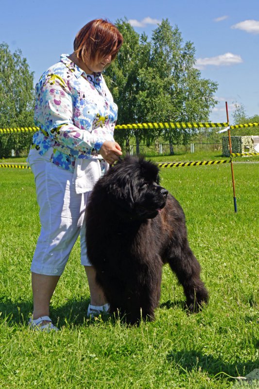 Фотография № 184298