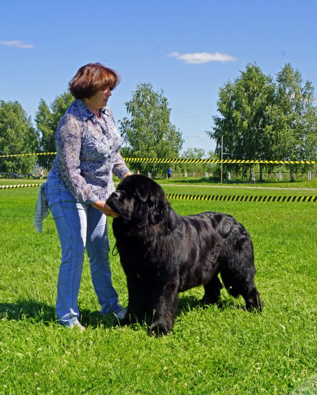 Фотография № 184302