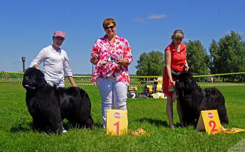 Фотография № 184305