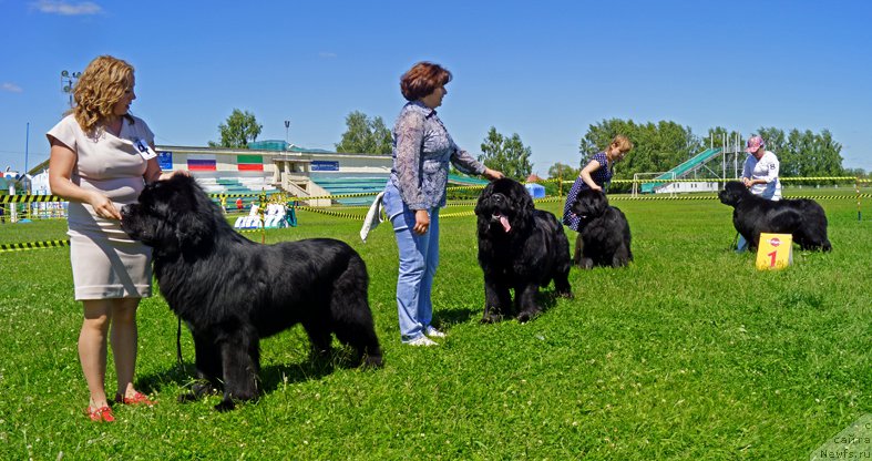 Фотография № 184306