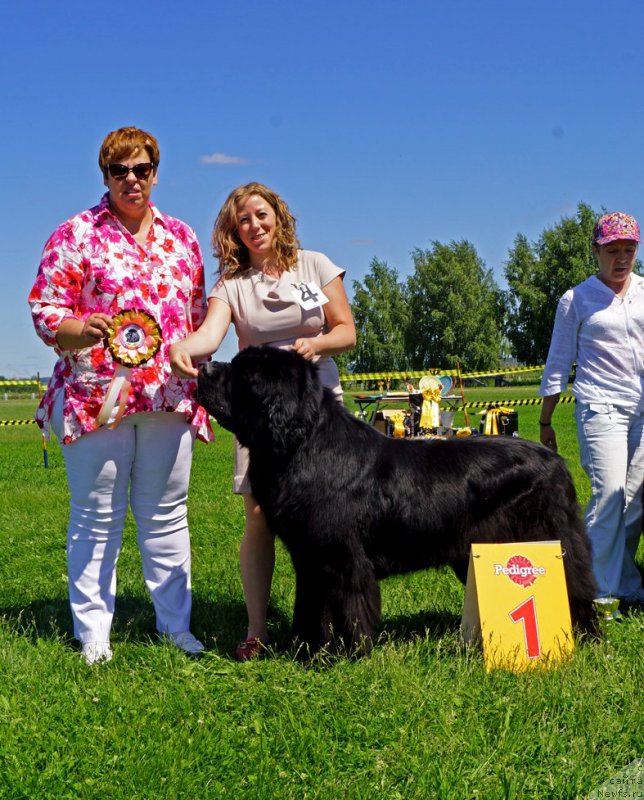 Фотография № 184308