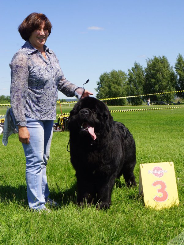 Фотография № 184311