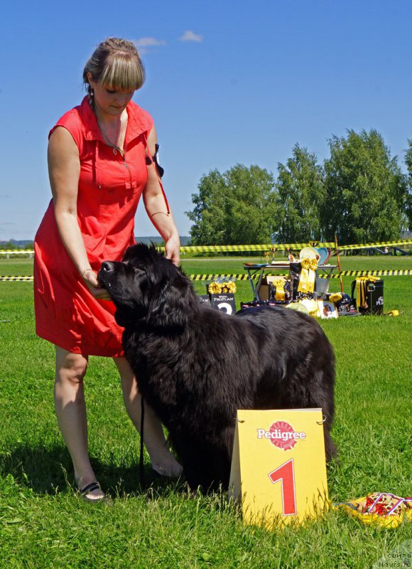 Фотография № 184312