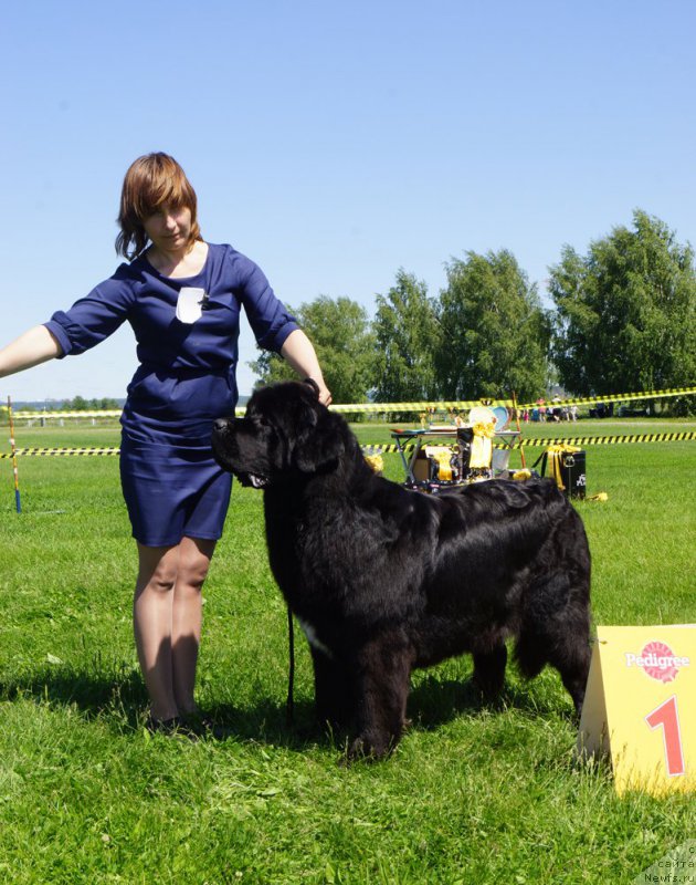 Фотография № 184314