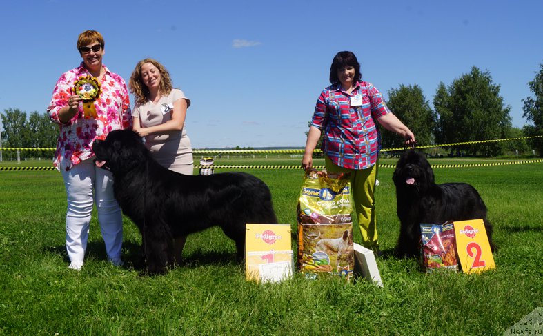 Фотография № 184321