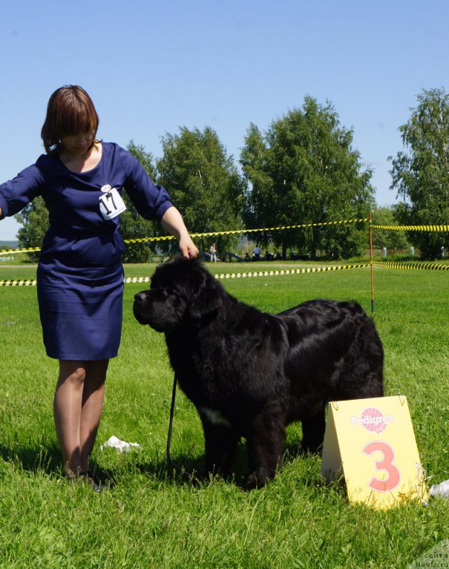 Фотография № 184322