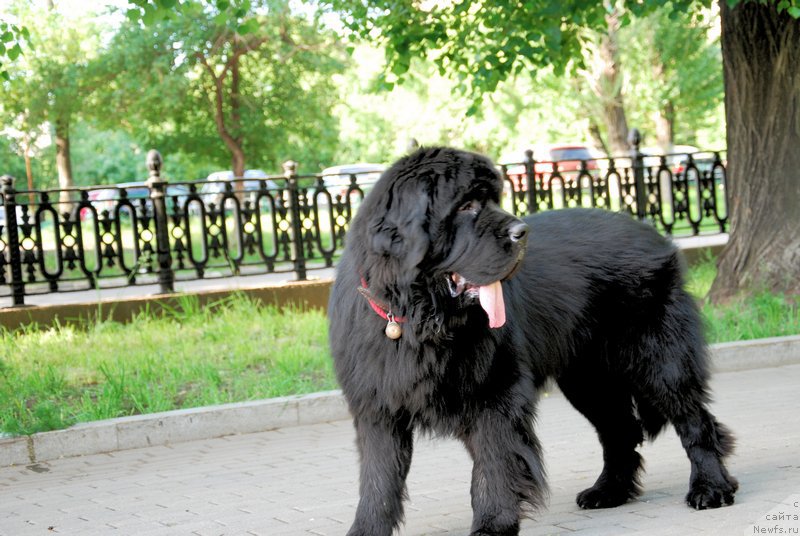 Фотография № 184344