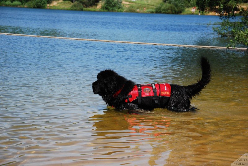 Фотография № 184346