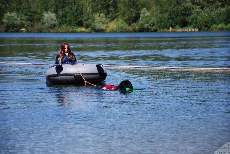 Фотография № 184347