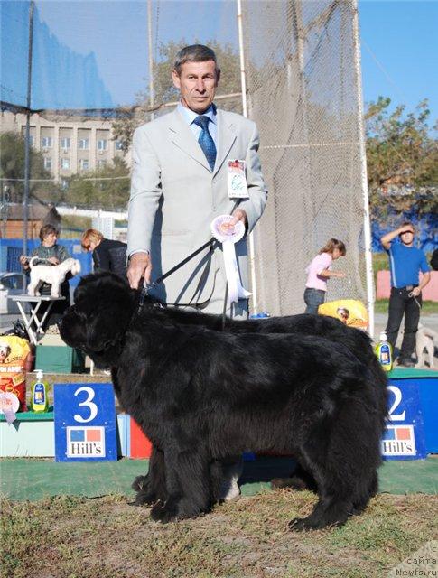 Фотография № 18435