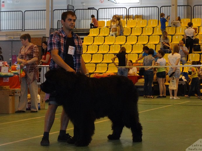 Фотография № 184358