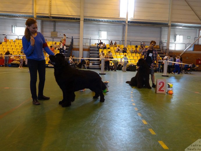 Фотография № 184359