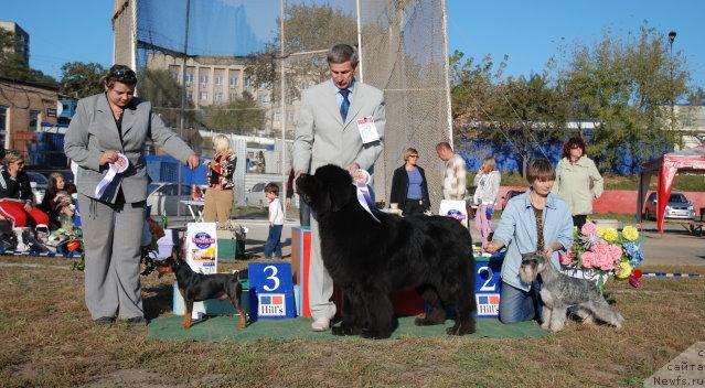 Фотография № 18436