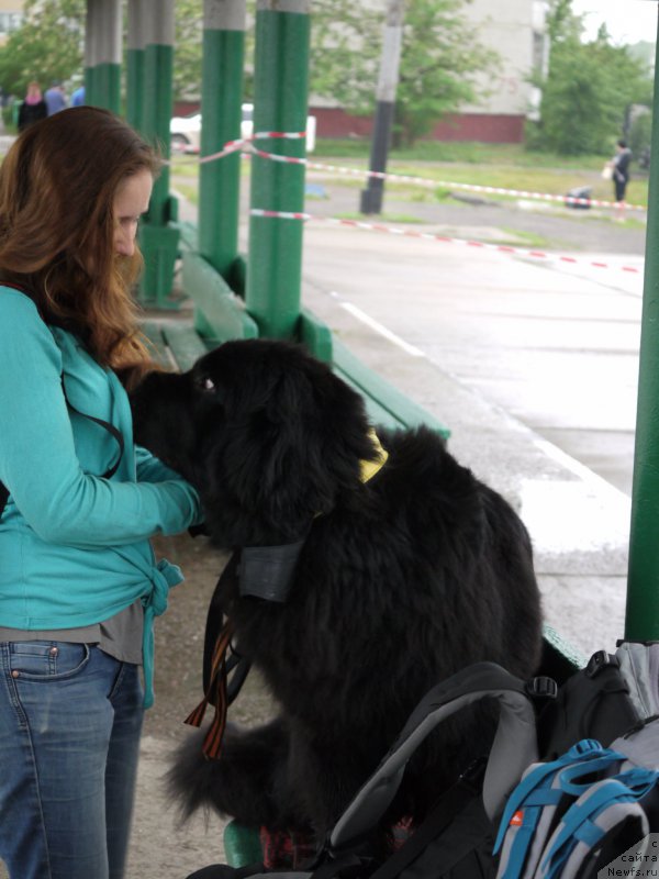 Фотография № 184392