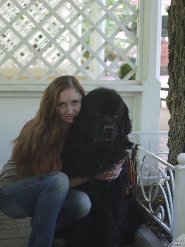 Фотография № 184393