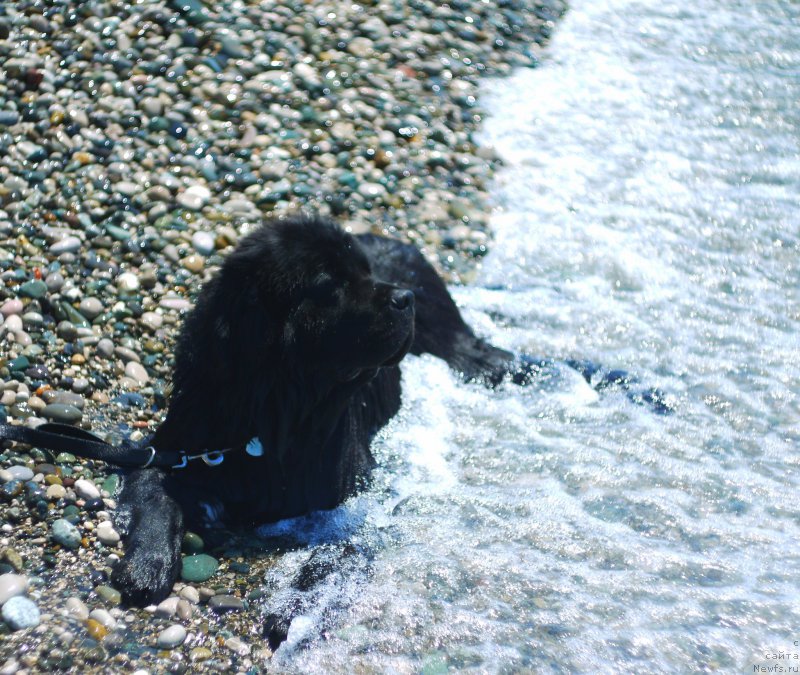 Фотография № 184398