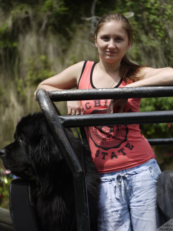 Фото: ньюфаундленд Chernyj Chank s Berega Dona (Черный Чанк с Берега Дона)