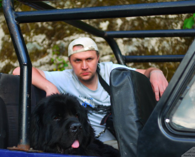 Фотография № 184408