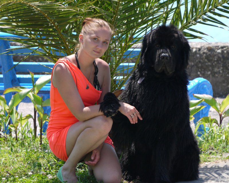 Фотография № 184409