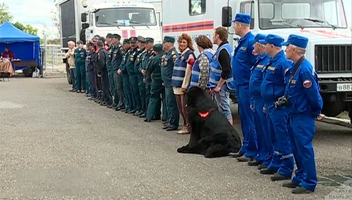 Фотография № 184417