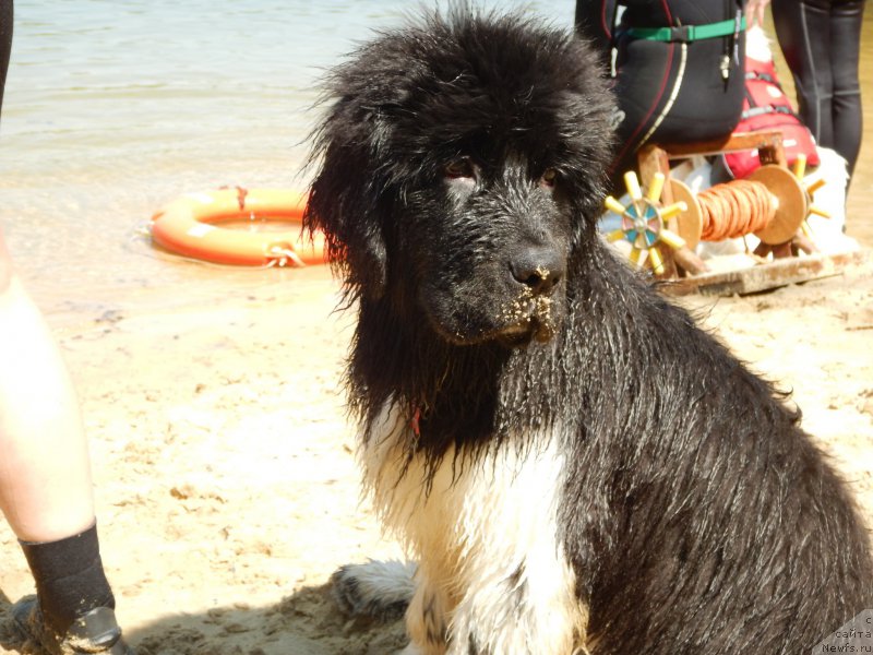 Фото: Anastasiya Kiseleva (Анастасия Киселева)