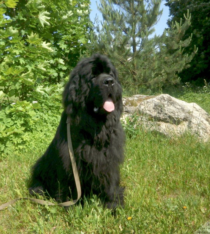 Фотография № 184419