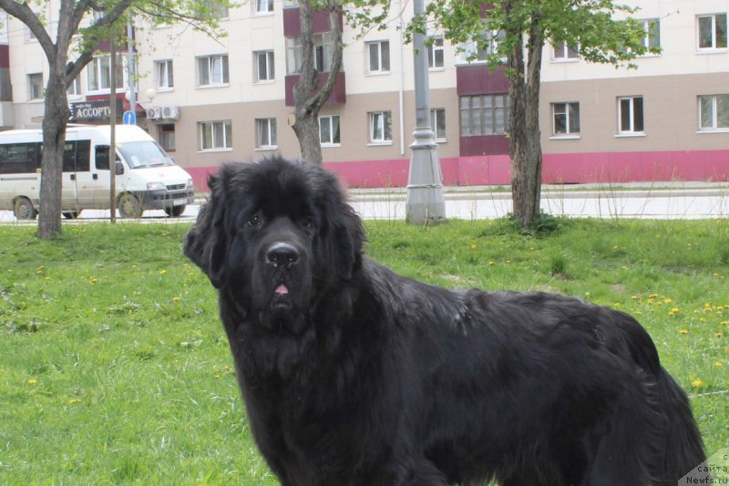 Фотография № 184470