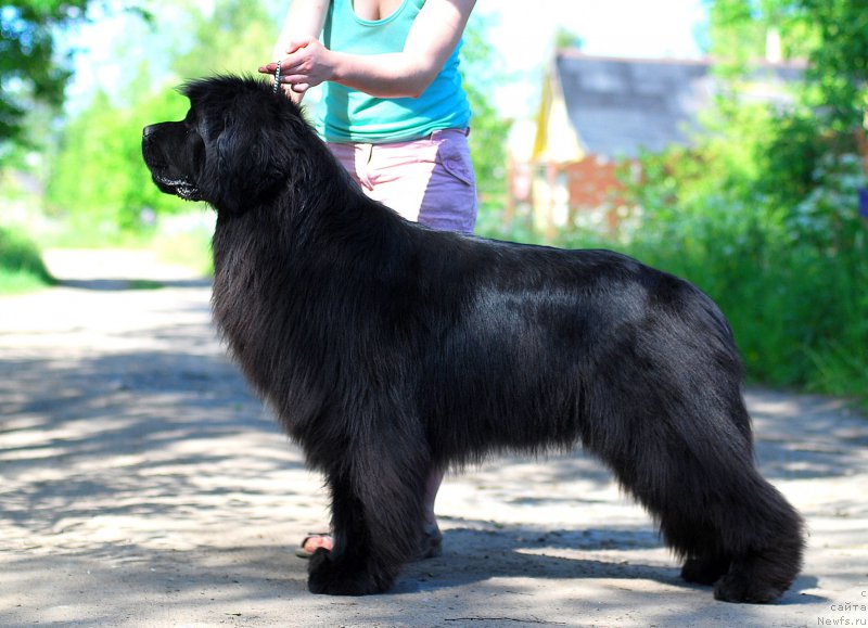 Фотография № 184477