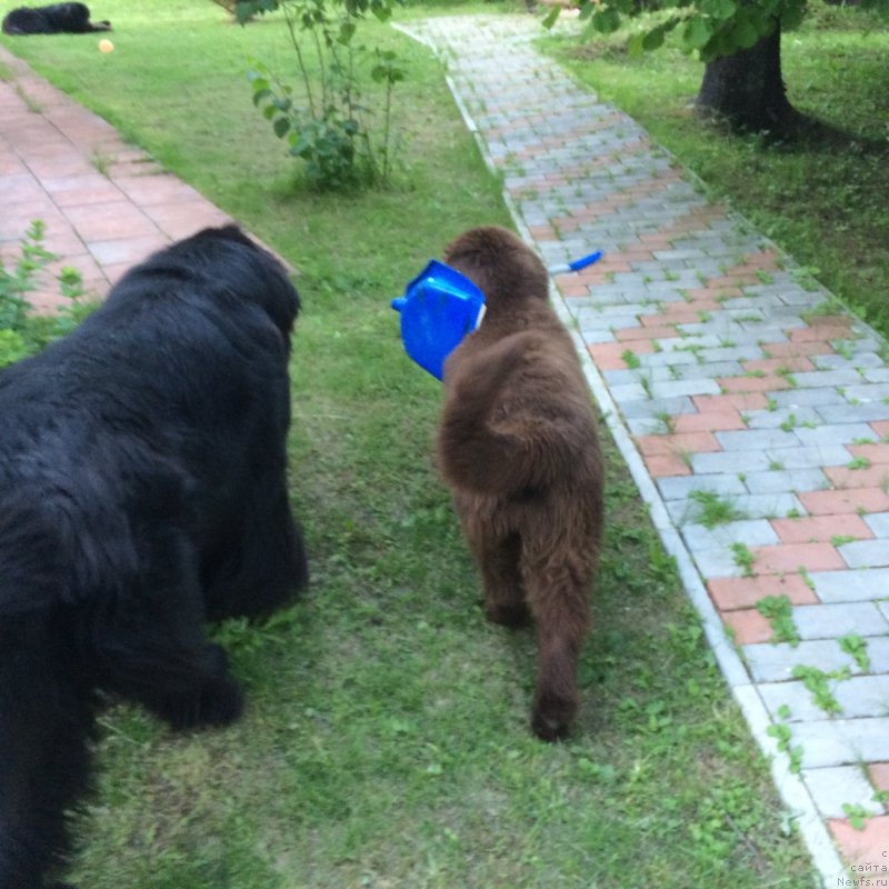 Фотография № 184494