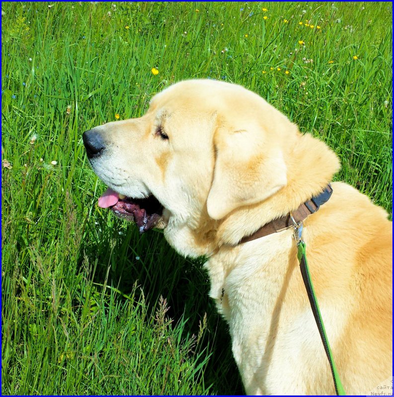 Фотография № 184497