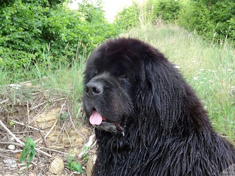 Фотография № 184551