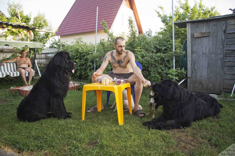 Фотография № 184557