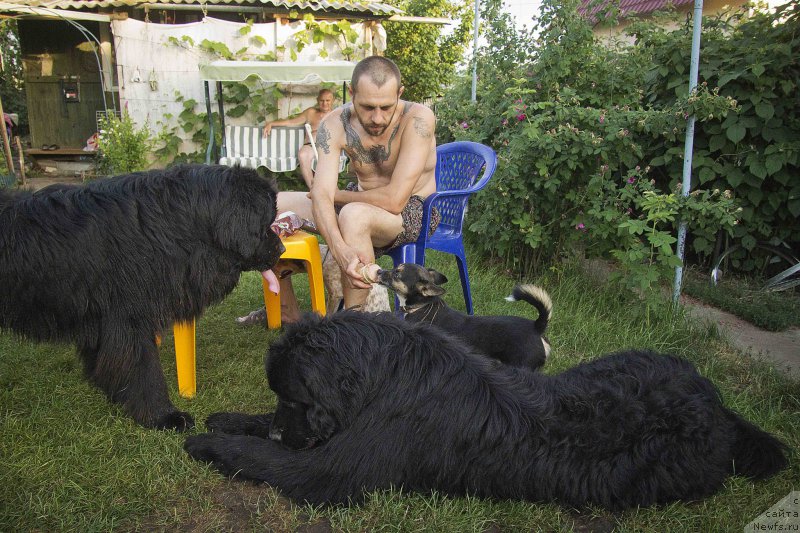 Фотография № 184559