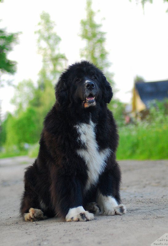 Фотография № 184562