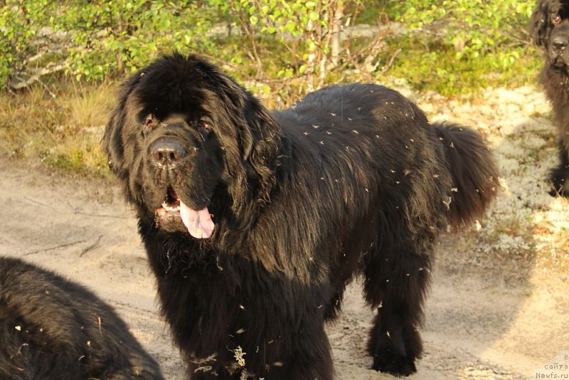 Фотография № 184568