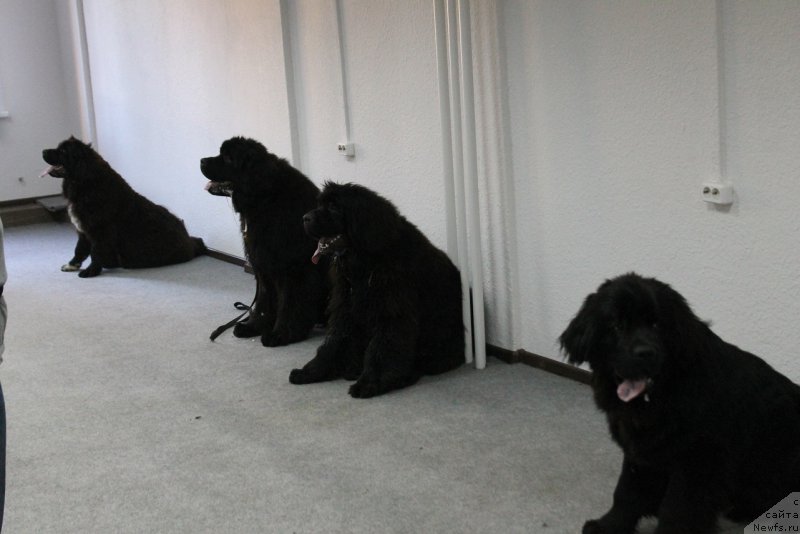 Фотография № 184579